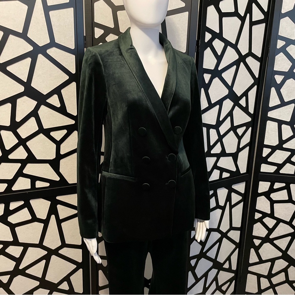 Express Emerald Velvet Double Breasted Shawl Collar Blazer - XS